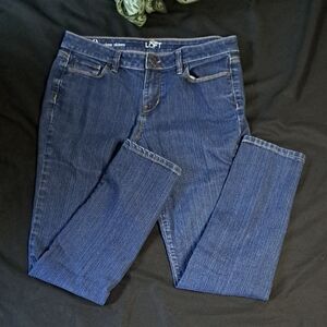 Ann Taylor LOFT Blue Skinny Jeans with Classic Fit